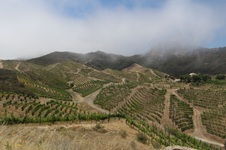 Enlarge photo 88