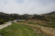 Enlarge photo 89