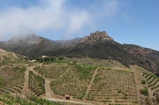 Enlarge photo 90