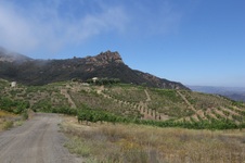 Enlarge photo 91
