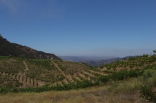 Enlarge photo 92