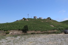 Enlarge photo 95