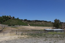 Enlarge photo 97