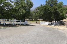 Enlarge photo 98