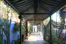 Enlarge photo 46