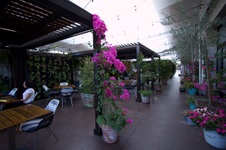 Enlarge photo 34