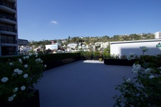 Enlarge photo 33