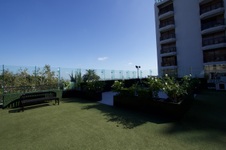 Enlarge photo 37