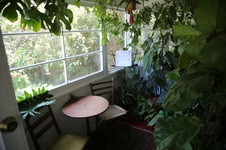 Enlarge photo 33
