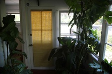Enlarge photo 34