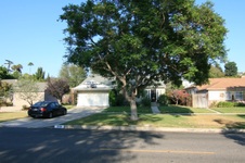 Enlarge photo 17