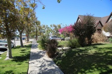 Enlarge photo 15