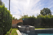 Enlarge photo 64