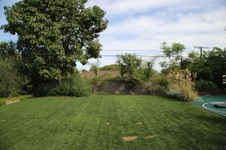 Enlarge photo 45