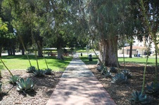 Enlarge photo 15