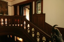 Enlarge photo 68