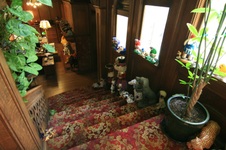 Enlarge photo 14