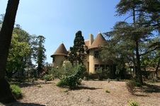 Enlarge photo 64