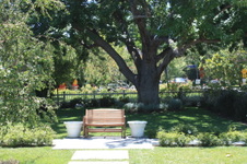 Enlarge photo 12