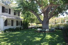 Enlarge photo 14