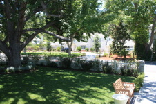 Enlarge photo 16