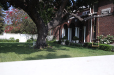 Enlarge photo 11