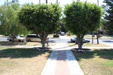 Enlarge photo 10