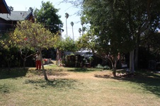 Enlarge photo 45