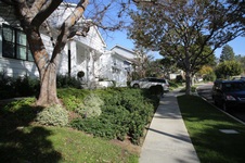 Enlarge photo 107
