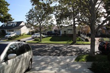 Enlarge photo 122
