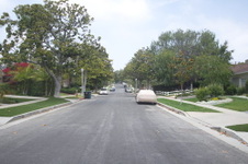 Enlarge photo 45