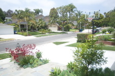 Enlarge photo 46