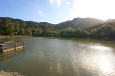 Enlarge photo 14