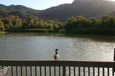 Enlarge photo 18