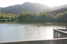 Enlarge photo 19