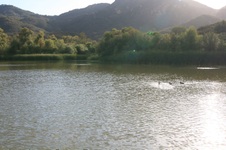 Enlarge photo 20