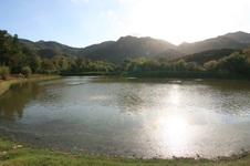 Enlarge photo 23