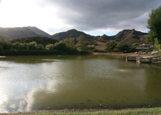 Enlarge photo 25
