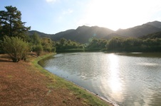 Enlarge photo 26