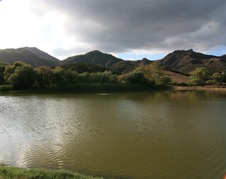Enlarge photo 28