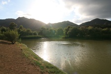 Enlarge photo 29