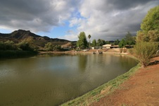 Enlarge photo 30