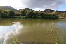 Enlarge photo 33