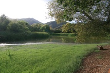 Enlarge photo 35