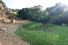 Enlarge photo 36