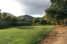 Enlarge photo 37
