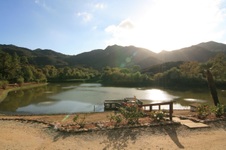 Enlarge photo 39