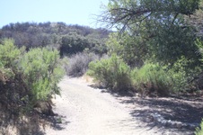 Enlarge photo 10