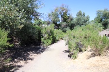 Enlarge photo 11