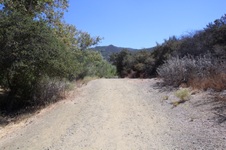 Enlarge photo 13